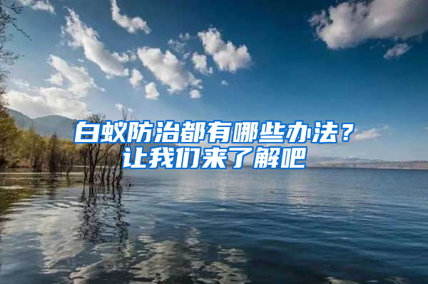 白蟻防治都有哪些辦法？讓我們來了解吧