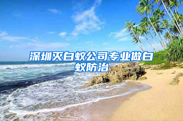 深圳滅白蟻公司專業做白蟻防治