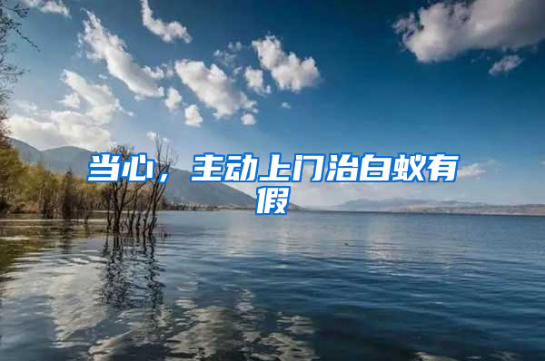 當心，主動上門治白蟻有假