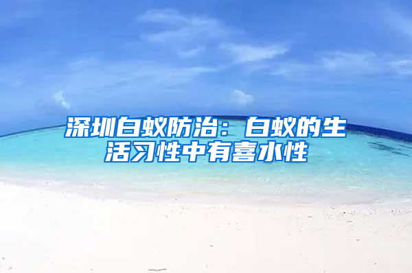 深圳白蟻防治：白蟻的生活習性中有喜水性