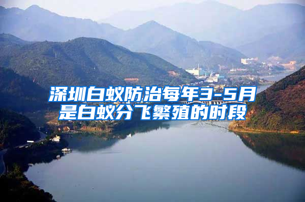 深圳白蟻防治每年3-5月是白蟻分飛繁殖的時段