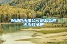 深圳市殺蟲公司是怎么樣滅治蚊子的